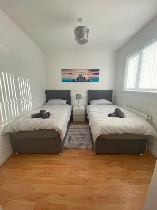 Modern Two Bed House Close To City Centre 贝尔法斯特 外观 照片