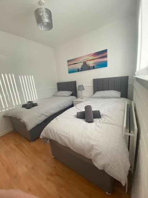 Modern Two Bed House Close To City Centre 贝尔法斯特 外观 照片