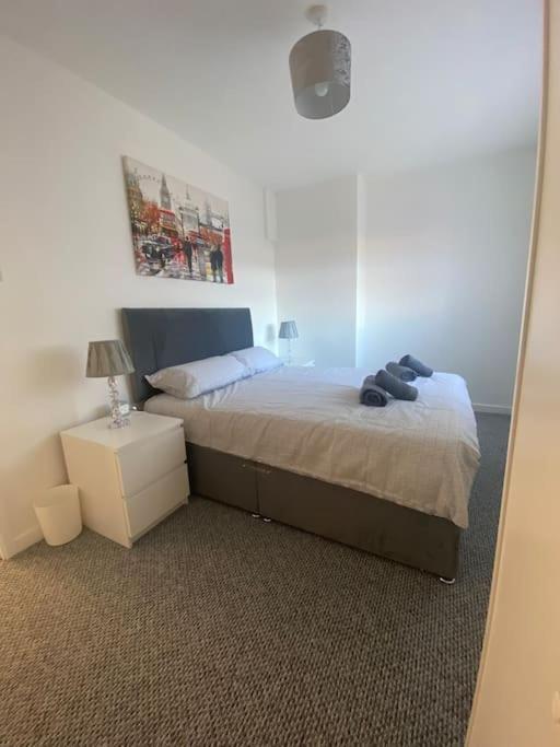 Modern Two Bed House Close To City Centre 贝尔法斯特 外观 照片